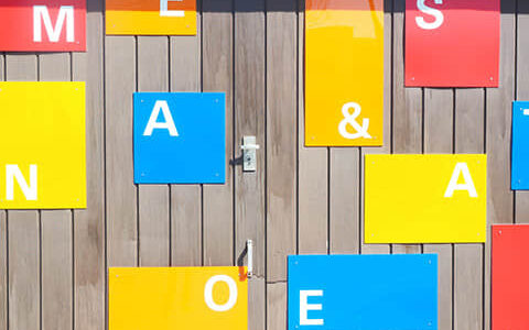 老师使用录屏软件时，不小时侵犯了版权，应该如何处理才能及时止损？