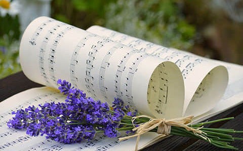 除了前面提及的衡量指标之外，还有哪些可以衡量促销效果的数据指标