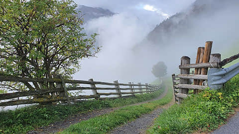 在应用4P理论时，企业应该如何进行市场调研以确定客户需求？