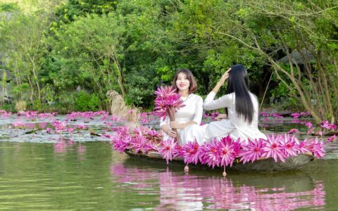 引流推广中的经典“鱼塘理论“是什么意思？（实例演示）