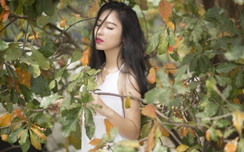 录制不同类型的教学视频，布类要求是不一样的，主流方案都在这了