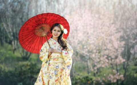 IPO中，如何将“输入”阶段活动应用到我的创作中的建议