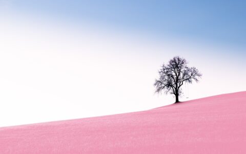 专业制作动画微课的软件有哪些？看看就好，除非你是专业选手