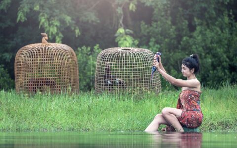 关于来画动画的所有问题，一文给你整得明明白白（长文）