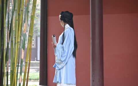 kimi实战： 生成小说大纲：冤枉的男人，死后穿越成了南宋驸马，惨遭奸臣陷害，昭雪后，带兵收复失地，打败金人