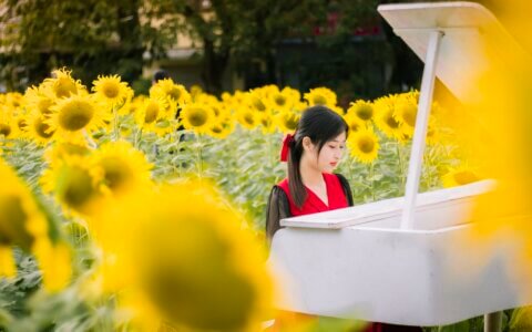 从0到1：剪辑小白如何用手机CapCut，3天做出百万播放的爆款视频？