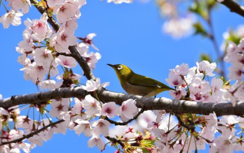 智谱清言：生成的一个关于轨迹的文案写作指南，基本上达到直接使用的程序