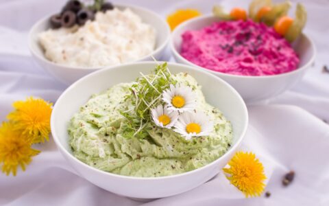 如何区分字体的授权条款中哪些是可以商用的，哪些是仅限于个人使用的？