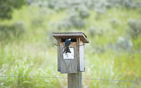 告别虚假表演：知识博主如何用"真实属性"赢得长久信任