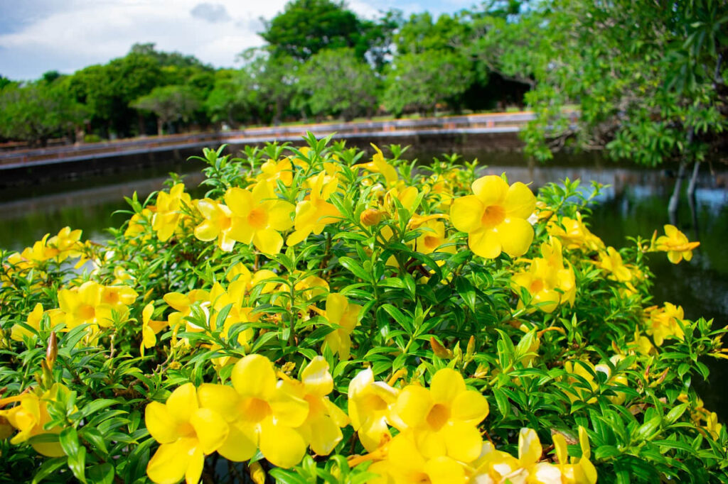 如何制作一个引人注目的课程介绍视频，我总结了10个步骤，可以参考一下