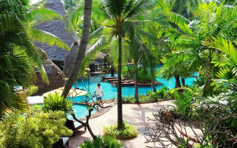 微信公众号发布的信息类型有哪些？哪一种的效果是最好的？如何才能制作出一个很棒的微信公众号文章内容呢？