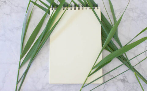 快速提升表达力（六）：如何提高我的“非语言沟通”技巧？（实例演示）