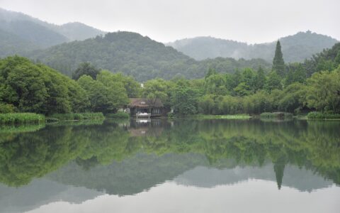 如果我想避免未来的版权问题，应该如何加强团队的版权意识教育？