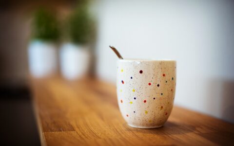 特许经营模式，是不是感觉像”加盟“，其实本质是一样的，这种模式可以实现低成本、快速地占领市场