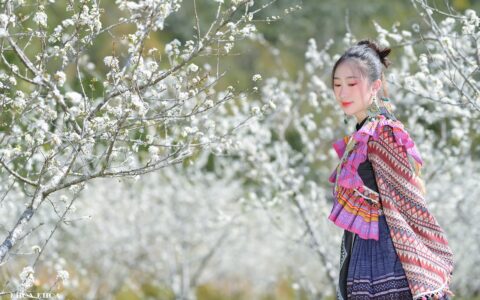 在搭建数字人直播系统的过程中，有哪些常见的性能问题？