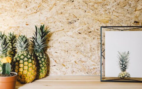 逻辑学中的归纳法是什么？如何正确的理解它，在实际工作中的运用场景？（后附实战案例）