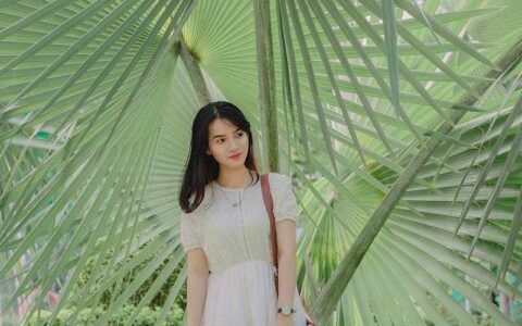 抖音的变现商业模式是什么？他和视频号有什么区别和联系？