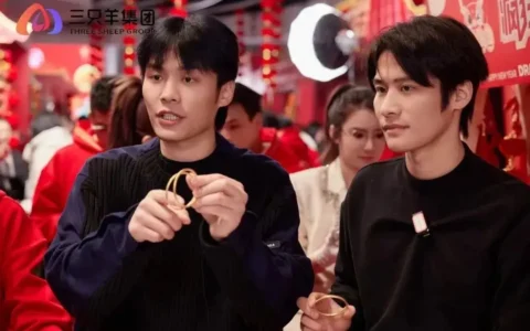 合肥三只羊中的大小杨双胞胎兄弟，以后会面临什么样的问题，还能不能继续从事直播带货？