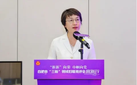 三只羊公司的发展对合肥的电商行业的影响是深远的，也是合肥发展电商之都的重要力量和基础