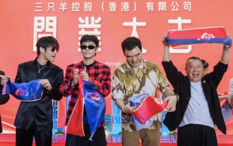 为什么对于三只羊的罚款是6894.91万元，计算的依据是什么？以后是否会追加处罚？为什么这次事件中没有人负刑事责任？