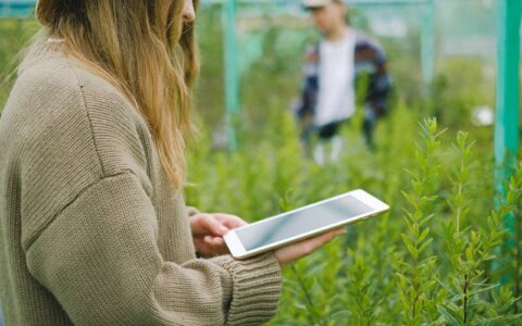 人工智能ai，可以在哪些方面对知识付费行业进行辅助与支持？做为知识博主如何才能用好、用对AI人工智能工具？