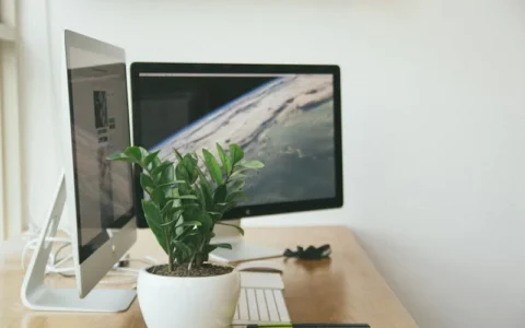 为什么你学了很多知识却用不出来？这3个底层思维模型，帮你打通任督二脉