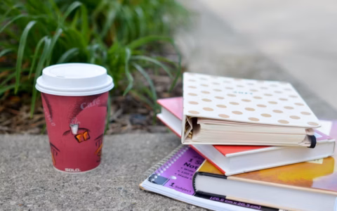 现在制作动画与真人结合的教学视频，是不是更受欢迎，为什么？