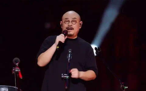 除了刀郎的演唱会，还有哪些类型的线上活动对视频号平台有类似的积极影响