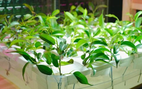 职场新人必踩的4个表达坑！我的血泪教训总结出的避雷清单