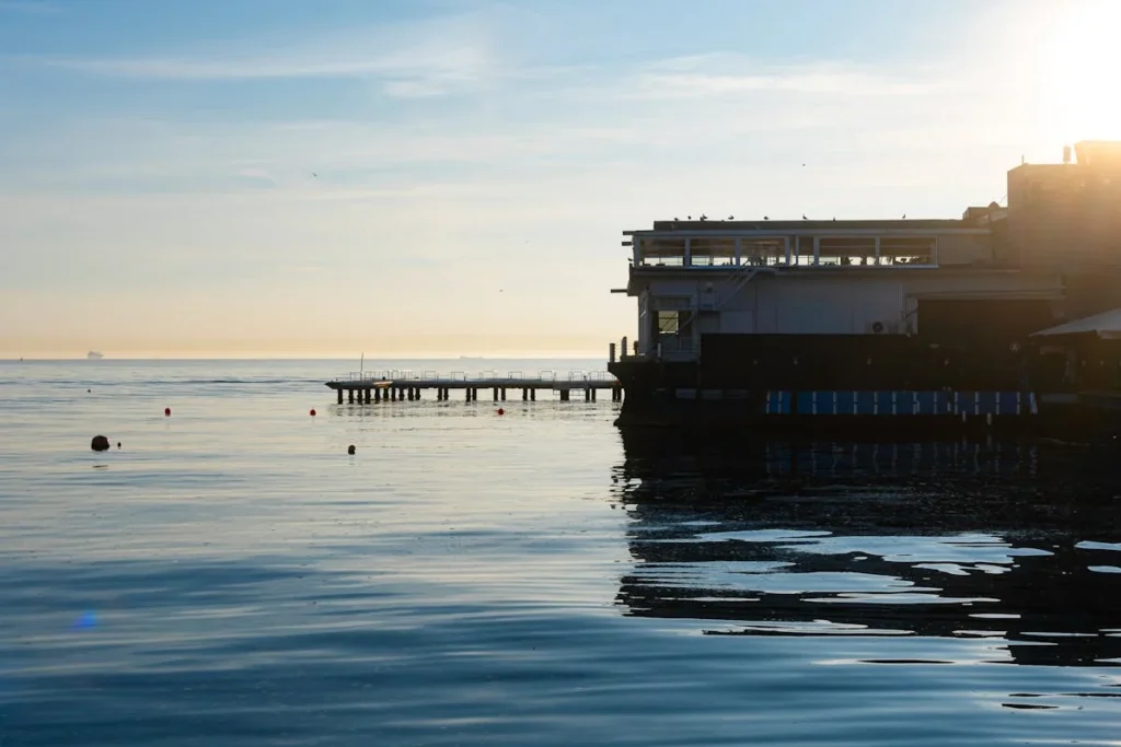 短视频创作者：专业、高效利用剪映SVIP AI功能的实践指南