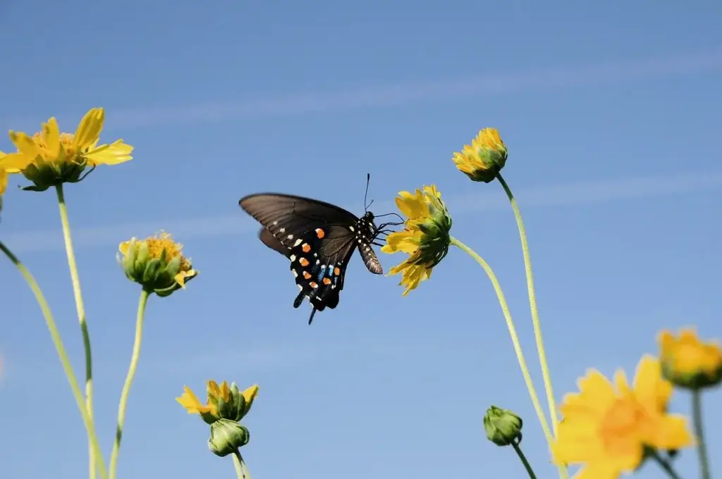 如何针对不同行业（如美妆/教育/科技）定制跨平台复用评估指标？