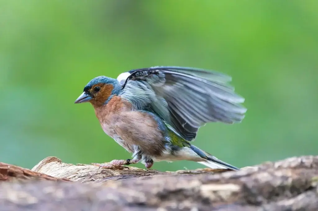 （收藏级）自媒体人必看：从 0 到 1 拆解 100 个爆款标题，我总结出这 4 个核心套路