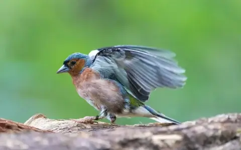 （收藏级）自媒体人必看：从 0 到 1 拆解 100 个爆款标题，我总结出这 4 个核心套路