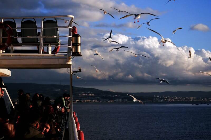 揭秘百万知识博主的录制神器：设备清单+软件推荐，低成本也能出大片！