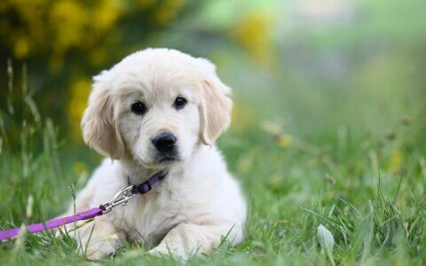 反差对比式标题怎么写？看完这个案例，让你的视频脱颖而出！